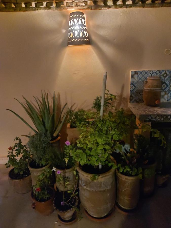 Riad Dar Karam Marrakesh Exterior photo